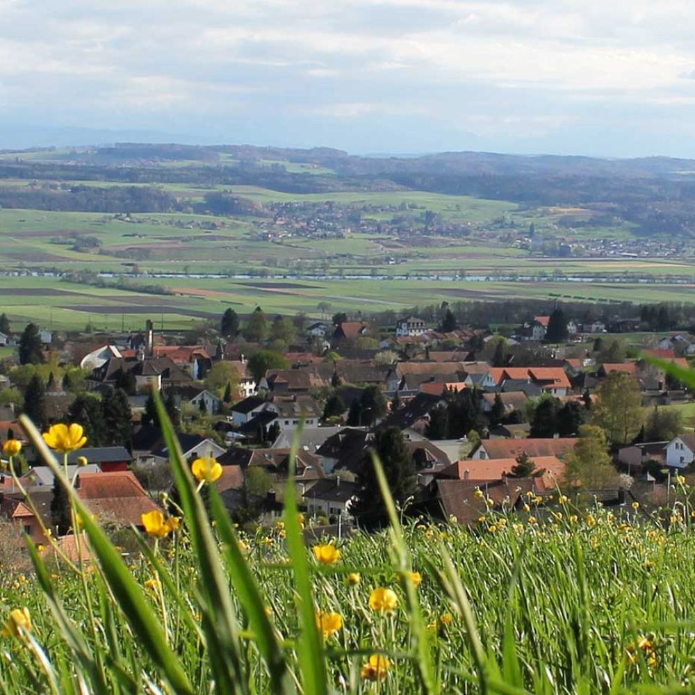 Foto mit Panoramablick auf die Gemeinde Lommiswil